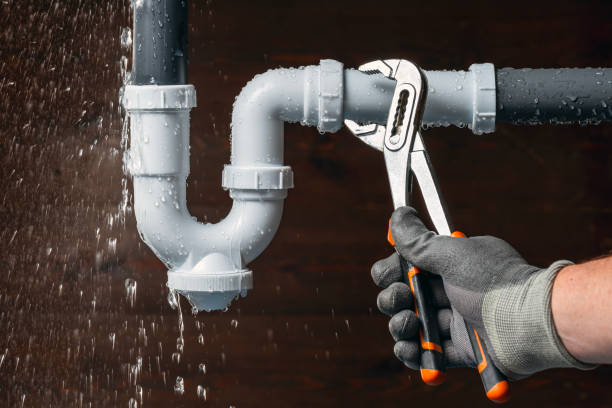 Professional Emergency Plumber technician working in Cedar Springs, MI